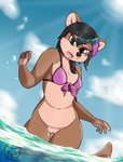 anthro bikini blue_eyes bottomless breasts brown_hair clothed clothing dirtypawz_(artist) female genitals hair hi_res highlights_(coloring) mammal meikiko_romanova_(dirtypawz) mustelid navel open_mouth otter outside pussy sea skimpy sky small_breasts solo sun swimwear water
