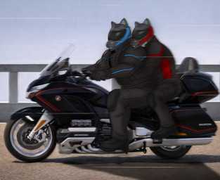 anthro boots clothing duo footwear goldwing_(motorcycle) highway male male/male motorcycle motorcycle_helmet riding_motorcycle shoes vehicle nicolasthewolf honda canid canine canis mammal wolf hi_res