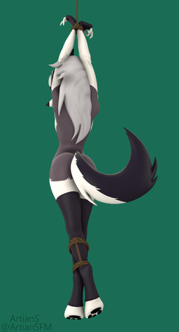 anthro arms_above_head barefoot bdsm bondage bound butt clothing convenient_censorship digitigrade exposure_variation feet female fingerless_gloves fur gloves green_background grey_body grey_fur hair hands_tied handwear legs_tied legwear mostly_nude multicolored_body multicolored_fur pawpads paws rear_view restraints rope rope_bondage simple_background solo standing stockings tail tail_censorship toes topwear white_body white_fur white_hair artians aeridiccore_(modeler) hellaverse helluva_boss mythology loona_(helluva_boss) canid canid_demon canine demon hellhound mammal mythological_canine mythological_creature 3d_(artwork) absurd_res digital_media_(artwork) hi_res source_filmmaker_(artwork)
