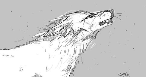 ambiguous_gender cheek_tuft ears_back facial_tuft feral head_tuft narrowed_eyes neck_tuft pivoted_ears sharp_teeth side_view solo teeth tuft unknowhiter canid mammal 2015 monochrome signature