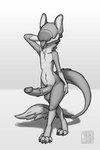 anthro balls blep digitigrade erection eyeless genitals glans male medial_ring nude penis simple_background solo standing tongue tongue_out white_background madkuzya clodespin_(species) 2021 hi_res monochrome