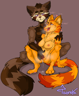 ahegao anthro blush body_blush breasts breath brown_body brown_fur clitoris duo female fingering fur genitals heart_eyes heart_symbol inner_ear_fluff looking_pleasured male male/female markings moan musk nipples orange_body orange_fur panting pawpads penetration pink_nipples pink_pawpads striped_markings striped_tail stripes tail tail_markings text tuft vaginal vaginal_fingering vaginal_penetration vulva vulva_blush conditional_dnp taoreta domestic_cat felid feline felis mammal procyonid raccoon digital_drawing_(artwork) digital_media_(artwork) english_text hi_res
