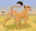 animal_genitalia animal_pussy anus blush feline_genitalia feline_pussy female feral fur genitals looking_back outside purple_eyes pussy raised_tail rear_view savanna smile solo tail tail_anus tail_tuft tuft yellow_body yellow_fur digitoxici disney the_lion_king nala_(the_lion_king) felid lion mammal pantherine hi_res