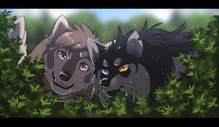 bangs black_body black_fur black_nose blue_eyes cheek_tuft day duo eyebrows eyelashes facial_tuft fangs female feral feral_with_hair fur grey_body grey_eyebrows grey_fur hair heterochromia leaf leaf_on_head male open_mouth outside plant short_hair teeth tuft yellow_eyes azzai azzai_wanderia_(azzai) canid canine canis mammal wolf 2016 colored digital_drawing_(artwork) digital_media_(artwork) shaded
