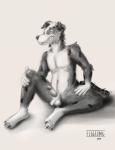 anthro balls erection fur genitals humanoid_genitalia humanoid_penis male nude penis simple_background smile solo flugeldog flugel australian_shepherd canid canine canis domestic_dog herding_dog mammal pastoral_dog sheepdog 2019 digital_media_(artwork) hi_res