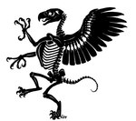 4_toes ambiguous_gender beak bent_legs bone claws feathered_wings feathers feet feral on_one_leg open_beak open_mouth pelvis rib_cage side_view silhouetted_body simple_background skeleton solo spine standing tail talons toe_claws toes tongue white_background wings lyosha mythology animated_skeleton avian gryphon hybrid mythological_avian mythological_creature undead 2009 black_and_white digital_drawing_(artwork) digital_media_(artwork) english_description monochrome signature