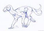 2_tails 3_toes ambiguous_gender beak claws feet feral jagged_beak multi_tail muscular muscular_feral pose running simple_background solo tail teeth text toes toothed_beak white_background ket-dawnatsunset hellhound_(zdnoz) 2023 artist_name hi_res monochrome pen_(artwork) sketch traditional_media_(artwork)