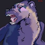 angry anthro bared_teeth feral fur fur_tuft looking_at_viewer male open_mouth purple_body purple_eyes purple_fur simple_background snarling solo teeth tongue tuft adondis gulonine mammal mustelid musteline wolverine 1:1 2020 cel_shading detailed digital_media_(artwork) half-length_portrait hi_res portrait shaded