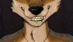 ambiguous_gender anthro bite grin simple_background smile solo teeth caatnip tuni canid canine canis coyote mammal animated short_playtime