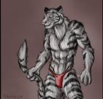 abs anthro biceps black_fur blue_eyes body_markings bulge feline fur grey_fur grin male mammal markings mindark muscles pecs pink_nose pose simple_background smile solo speedo standing stripes swimsuit tail_grab tiger topless tuft whiskers white_tiger
Rating: Questionable
Score: 2
User: CodArk2
Date: January 09, 2014
