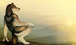 ambiguous_gender anthro black_body black_fur black_lips black_nose claws crouching dark_body dark_fur detailed_background digitigrade feet fog fur guarding handpaw hindpaw inner_ear_fluff landscape lips long_mouth no_sclera outcrop outside pawpads paws realistic sentry sky snout solo sunrise tail tuft waiting white_body white_claws white_fur sullivan canid canine canis mammal wolf 2009 detailed hi_res wallpaper widescreen