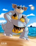 beach bikini clothed clothed_feral clothing cloud eyewear female feral fire glasses mountain sea seaside semi-anthro sky solo swimwear two-piece_swimsuit water wide_crotch perinia nintendo pokemon generation_1_pokemon nidoqueen pokemon_(species) hi_res