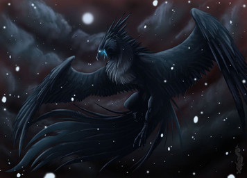 ambiguous_gender cloud dark feathered_wings feathers midair outside sky snow solo wings unknown_artist nintendo pokemon articuno avian bird generation_1_pokemon legendary_pokemon pokemon_(species)