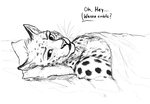 anthro bed cheetah conditional_dnp digital_media_(artwork) enorach_(0laffson) felid feline furniture lying male mammal monochrome on_back on_bed pillow question_mark sketch solo suggestive suggestive_look titusw under_covers
