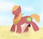 animal_genitalia animal_penis balls cutie_mark equine_genitalia equine_penis erection feral fur genitals grass hair male nude penis plant solo thatdoodlingpony friendship_is_magic hasbro my_little_pony big_macintosh_(mlp) earth_pony equid equine horse mammal pony