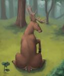 2017 ambiguous_gender anal anal_vore antlers brown_body brown_eyes brown_fur cervine deer detailed_background difetra digital_media_(artwork) duo facesitting feral forest fur grass hi_res hooves horn lagomorph leporid mammal nature outside plant rabbit red_deer sitting_on_another size_difference tree vore