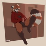 1:1 absurd_res ailurid ball_fondling balls big_tail blush bottomless clothed clothing ear_piercing erection fondling foreskin genitals hi_res hoodie humanoid_genitalia lambda_(character) male mammal minedoo penis piercing red_panda slightly_chubby solo tail topwear