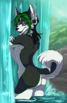 ambiguous_gender anthro bathing butt ear_piercing green_eyes green_hair hair legs_in_water looking_back nude outside partially_submerged piercing solo submerged_legs tail water waterfall mingchee james_(confrontedwolf) canid canine canis domestic_dog husky mammal nordic_sled_dog spitz 2012