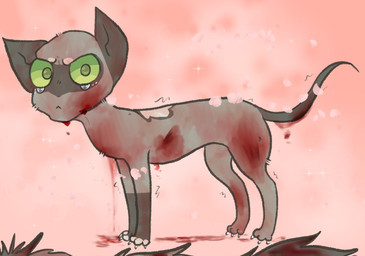 annoyed blood bodily_fluids female feral fur gore green_eyes grey_body grey_fur grumpy shaved solo tail tears wounded freckledcoat warriors_(book_series) dovewing_(warriors) domestic_cat felid feline felis mammal 2022 hi_res