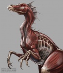 ambiguous_gender bone feral internal muscular muscular_ambiguous muscular_feral solo translucent translucent_body rotarr dinosaur ornithomimid ornithomimus prehistoric_species reptile scalie theropod undead zombie