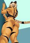 against_surface against_wall anthro back_muscles black_bra black_clothing black_panties black_underwear bra breasts butt clothed clothing deltoids female looking_at_viewer looking_down low-angle_view muscular muscular_anthro muscular_female panties rear_view solo triceps underwear underwear_only f_draws lu_(f_draws) felid mammal pantherine tiger 2022 hi_res portrait three-quarter_portrait