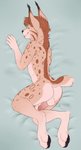 anthro balls butt genitals humanoid_genitalia humanoid_penis looking_back male nude penis rear_view smile solo tongue tongue_out kittbites vex_(vexlynx) felid feline lynx mammal hi_res