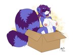 anthro big_breasts blue_body box breasts cardboard cardboard_box container countershading eyes_closed facial_markings female fur hair head_markings in_box in_container markings mask_(marking) nipples nude purple_body purple_hair ring_(marking) ringed_tail sitting sitting_in_box smile solo striped_markings striped_tail stripes tail tail_markings white_body white_countershading lofiflavors yogoat rallex mammal procyonid raccoon absurd_res digital_media_(artwork) hi_res