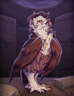 ambiguous_gender feral jewelry library looking_at_viewer necklace solo daarclaw avian bird owl hi_res male_(lore)