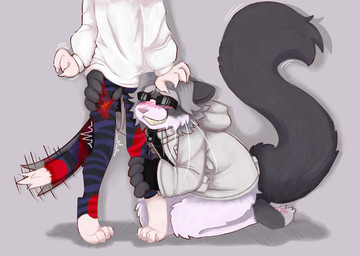 alternate_species anthro blood blood_on_leg blush bodily_fluids claws clothing duo eyewear fingerless_gloves fur furrification glasses gloves hair handwear hoodie jacket leg_grab male male/male red_body red_fur scratching sunglasses thigh_grab topwear wearing_glasses wearing_sunglasses white_body white_fur white_hair wounded toxoplasmosis_(toxoplasmatinae) the_hundred_line:_last_defense_academy eito_aotsuki takumi_sumino calico_cat domestic_cat felid feline felis mammal ragdoll_cat