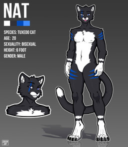 anthro bisexual black_body black_fur blue_eyes blue_markings chest_tuft claws dipstick_tail female fur male markings scar solo standing tail tail_markings tuft white_body white_fur green_catt nat_(nat_boi) domestic_cat felid feline felis mammal tuxedo_cat hi_res model_sheet