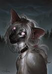 anthro black_nose bodily_fluids breasts collar crying detailed_background featureless_breasts female fur grey_body grey_fur grey_hair hair outside pink_eyes pupils slit_pupils solo tears safiru safi_(safiru) balinese_cat domestic_cat felid feline felis mammal oriental_longhair