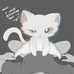 bestiality clitoris duo female feral genitals male male/female sex tail translucent white_body yellow_eyes godforgiveme4 pickle_1 domestic_cat felid feline felis human mammal hi_res