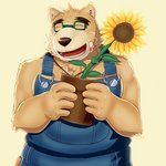 anthro brown_body brown_fur clothing eyes_closed eyewear fur glasses humanoid_hands kemono male overalls overweight overweight_anthro overweight_male solo boson62213 kuremura62213 lifewonders tokyo_afterschool_summoners volos_(tas) bear mammal 1:1 2020