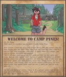 2015 4_fingers adolescent anthro arrow_sign blue_eyes bottomwear brown_body brown_fur brown_hair brown_text building camp_pines clothing day detailed_background digital_drawing_(artwork) digital_media_(artwork) dipstick_tail direction_sign directional_arrow domestic_cat domovoi_lazaroth english_text felid feline felis female fingers forest fungus fur grass hair hands_on_hips hanging_sign hi_res hoodie jenny_(domovoi) letter location_sign looking_at_viewer mammal markings mushroom outside path plant planted_sign poster poster_template rock shorts sign sky smile solo story story_in_description tail tail_markings text topwear tree whistle_(object) young young_female