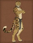 anthro bottomwear clothing collar crossed_arms digitigrade loincloth looking_at_viewer male solo cedarwolf cheetah felid feline mammal