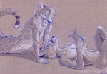 anthro book canid canine cheetah dingbat duo eye_contact eyewear felid feline fox glasses looking_at_another lying male mammal nude on_back romantic romantic_couple simple_background tail