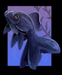 ambiguous_gender blue_body blue_scales brown_eyes bubble feral glistening glistening_eyes mouth_closed scales solo underwater water imperatorcaesar fish marine alpha_channel hi_res