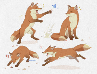 angry cross-popping_vein feral fur gloves_(marking) male markings multicolored_body multicolored_fur rock simple_background sitting tail yellow_sclera cruepocket arthropod beetle butterfly canid canine cucujoid fox insect ladybug lepidopteran mammal hi_res
