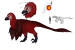 arm_feathers black_body black_feathers claws feathers feral male open_mouth red_body red_feathers scales sharp_teeth sickle_claw silhouette simple_background size_difference solo tail tail_feathers teeth toe_claws white_background white_body white_feathers yellow_sclera neko-faust dinosquad victor_veloci dinosaur dromaeosaurid feathered_dinosaur feathered_scalie human mammal prehistoric_species reptile scalie theropod velociraptor absurd_res hi_res model_sheet