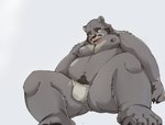 anthro asian_clothing belly big_belly bulge clothing east_asian_clothing fundoshi japanese_clothing kemono male moobs nipples overweight overweight_male simple_background solo underwear white_clothing white_fundoshi white_underwear tengzai05 bear mammal 2023 hi_res