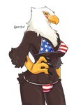 american_flag_bikini anthro beak bikini breasts brown_body brown_feathers claws clothing feathers female flag_bikini kemono licking licking_lips non-mammal_breasts scuted_arms scutes simple_background smile solo swimwear tongue tongue_out two-piece_swimsuit urotori american_eagle accipitrid accipitriform avian bald_eagle bird eagle sea_eagle hi_res