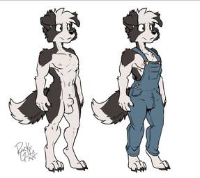 animal_genitalia anthro balls barefoot biped bulge claws clothed clothed/nude clothed_anthro clothed_male clothing coveralls digitigrade dipstick_tail feet fluffy fluffy_tail genitals male male_anthro markings multicolored_body navel nipples nude nude_anthro nude_male overalls paws pose sheath solo standing tail tail_markings text three-quarter_view two_tone_body rick_griffin sammy_(farm_life) border_collie canid canine canis collie domestic_dog herding_dog mammal pastoral_dog sheepdog 2025 dated digital_drawing_(artwork) digital_media_(artwork) english_text flat_colors full-length_portrait multiple_images multiple_versions portrait signature