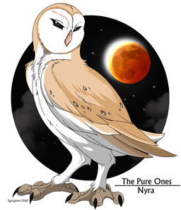 ambiguous_gender beak black_sky black_text cloud countershading detailed_background eclipse facial_scar feathers feet feral full_moon moon night scar scutes sky solar_eclipse solo star starry_sky sun talons tan_body tan_feathers text toes toony white_body white_feathers ignigeno guardians_of_ga'hoole nyra_(gogh) avian barn_owl bird owl tyto tytonid western_barn_owl 2010 artist_name cel_shading character_name digital_drawing_(artwork) digital_media_(artwork) english_text shaded