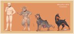 aroused blush bodily_fluids collar cum ejaculation erection feral feral_transformation fur genital_fluids genitals human_to_feral male nude open_mouth penis simple_background smile solo species_transformation tail transformation transformative_collar momomichi_nsfw canid canine canis dobermann domestic_dog human mammal pinscher absurd_res colored digital_drawing_(artwork) digital_media_(artwork) hi_res shaded watermark