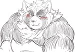 anthro belly blush eyebrows first_person_view looking_at_viewer male musclegut muscular muscular_arms naughty_face neck_tuft pecs solo thick_eyebrows tuft exe_exem lifewonders live_a_hero shoen canid canine mammal raccoon_dog tanuki digital_drawing_(artwork) digital_media_(artwork) sketch