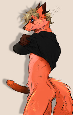 anthro blue_eyes bottomless bottomless_anthro bottomless_male charlie_loonorick clothed clothing clothing_lift fur genitals hair male male_anthro penis red_body red_fur red_tail shirt shirt_lift side_view solo tail topwear whiskers galetta canid canine fox mammal hi_res portrait three-quarter_portrait