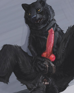 animal_genitalia animal_penis anus balls black_body black_fur bodily_fluids butt canine_genitalia canine_penis claws erection fangs feral fur genital_fluids genitals knot looking_at_viewer male penis precum presenting presenting_hindquarters realistic_feral solo teeth yellow_eyes cosmiclife romeo_(cosmiclife) canid canine canis mammal wolf hi_res
