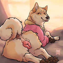 amber_eyes animal_genitalia animal_vulva anus blep bottomless brown_anus butt canine_genitalia canine_vulva clothed clothed_feral clothing curled_tail female feral fur genitals jacket jacket_only lying on_front pawpads paws pink_vulva quadruped rear_view solo tail tan_body tan_fur tongue tongue_out topwear topwear_only vulva hakudoge panama_(hakudoge) canid canine canis domestic_dog mammal shiba_inu spitz 1:1 hi_res