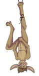 anthro blush brown_body brown_fur buckteeth clenched_teeth covering covering_crotch covering_self embarrassed eyebrows fur hair hanging_by_feet looking_up male nude rope solo teeth upside_down wide_eyed hellishlykawaiimiocreations tyler_(ccwoah) lagomorph leporid mammal rabbit 2020 hi_res