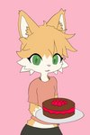 anthro blush bottomwear cake clothing coral_shirt countershade_face countershade_torso countershading dessert female food fur green_eyes grey_bottomwear grey_clothing grey_pants holding_cake holding_food holding_object holding_plate looking_at_viewer midriff pants pink_background simple_background smile solo tan_body tan_fur white_body white_countershading white_fur hikaridraws rolo_(rolo_stuff) domestic_cat felid feline felis mammal 2:3 absurd_res hi_res